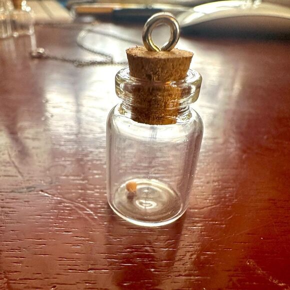 JUST IN☀️Mustard Seed in a Bottle Charm For Necklace Pin Keychains Faith Mission - Picture 6 of 8
